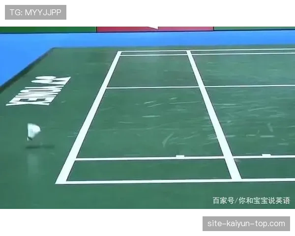 边线规则详解:球出界后如何判定归属与发球位置 边线规则详解:球出界后如何判定归属与发球位置